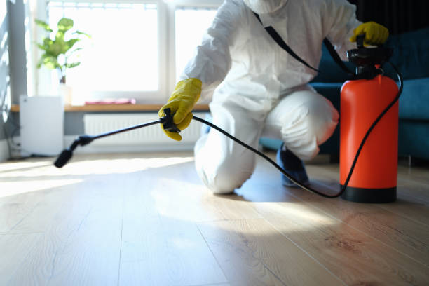 Reliable Odor Removal contractor in Kingston, IL by Crime Scene Cleaner Online